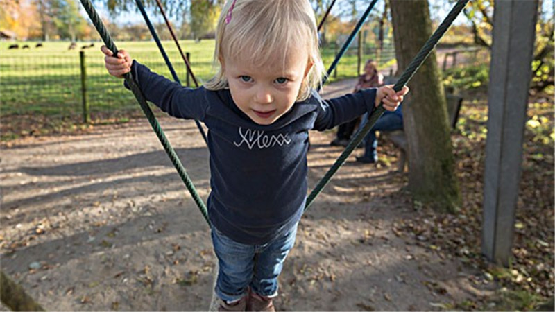 郑州早教中心哪家好